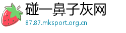碰一鼻子灰网